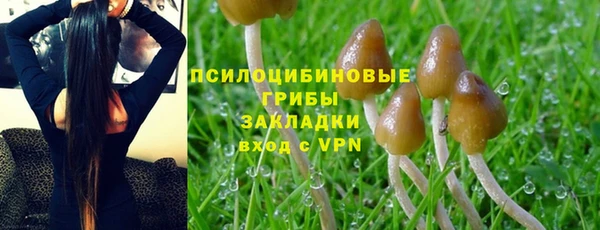 a pvp Аркадак