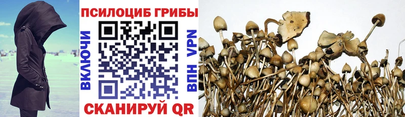 купить наркотики сайты Советск Псилоцибиновые грибы MAGIC MUSHROOMS